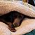 Lynn Bischoff Black's profile image