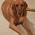 Anita Clark's profile image