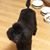 Debra Williams's profile image