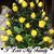 Donna Morris's profile image