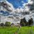 Heather Embree's profile image