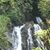 Marlene Tinoco's profile image