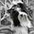 Terry Hulsing's profile image