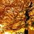 Christine Lacy's profile image