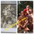 Ricardo Leitao's profile image