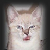 June M. Blair's profile image