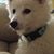 Derryck Kamptapersaud's profile image