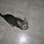 Virpi Kuolimo's profile image