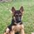 Michelle A Gierla Ferroni's profile image