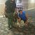 Shean Hylton's profile image