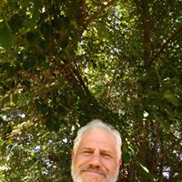 David Lapham's profile image