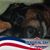 Amy Mowry Abbott's profile image