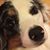 Kimberly Anderson Uselton's profile image