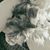 Bianca Shorey's profile image