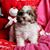 Cathy Pointon's profile image