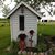 Cindy Alger's profile image