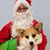 Joan Carey's profile image