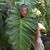 Patrick Melvin Horton's profile image
