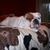 Kim Perkins's profile image