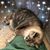 Jean Kies Milliken's profile image