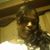 Nicole Watkins's profile image