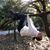 Amanda Lebreton Cathey's profile image