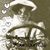 Bree Raibourn's profile image