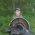Christie Davenport-Satterwhite's profile image