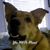 Kathy Lennert Smith's profile image