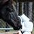 Mary Drew Ledford's profile image