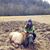Jessica Braunstein's profile image