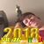 Angela Reus Cogollor Massó's profile image