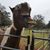 Joey Terry's profile image