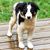 Tammy Leroux's profile image