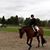 Judy Westcott's profile image