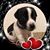 Mary Carver's profile image