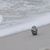 Connie Caldwell Duckworth's profile image
