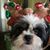 Christeen Layman's profile image