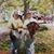 Jerry N Melissa Hibdon's profile image