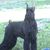 Jane Chism's profile image