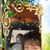 Donna Hunter Kingcaid's profile image