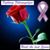 Andrea Raso's profile image