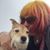 Alisha Liscinsky's profile image