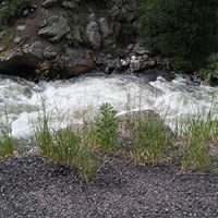 Linda Lewis's profile image