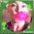 Celena Meade's profile image