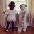 Rossana Uessugui's profile image