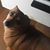 Maryann Kelley's profile image