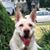 Liz Lehane's profile image