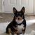 Kristin Spaulding's profile image