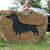 Suzanne Van Alstine Raiford's profile image